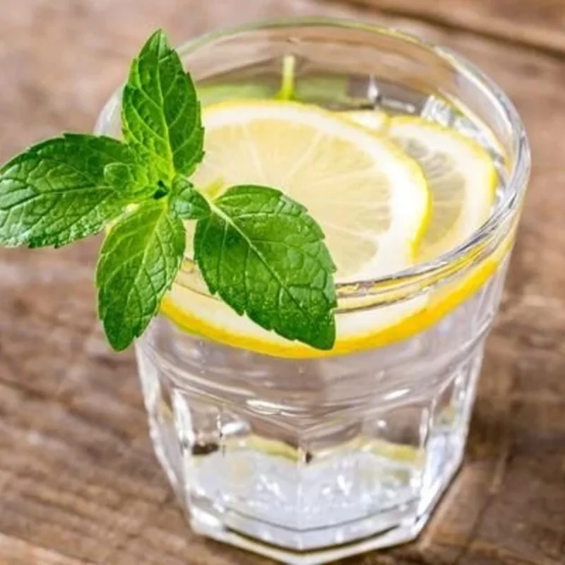 Su Orucu Detoks Programı